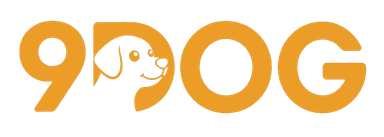 9Dog 홈으로 가기