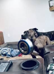 리뷰 상품 이미지