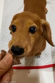 리뷰 상품 이미지