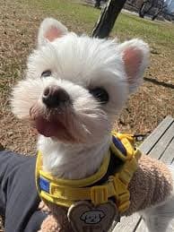 리뷰 상품 이미지