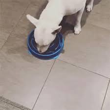 리뷰 상품 이미지