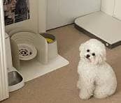 리뷰 상품 이미지