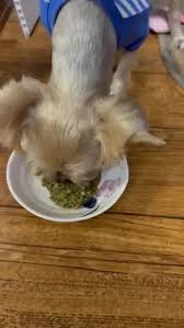 리뷰 상품 이미지