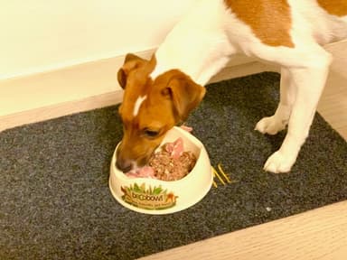 리뷰 상품 이미지